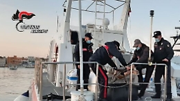 Linosa, motovedetta dei carabinieri salva un esemplare di Caretta caretta