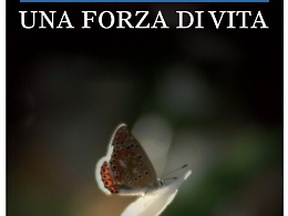 Il mondo di Laura e il coraggio di vivere