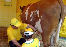 Ragusa, allevatori hanno occupato la "Ragusa Latte"