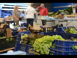Un topo nell'insalata in busta