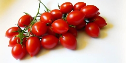 Al via Giornata internazionale pomodoro di Pachino Igp: ogni anno produzione di 10 milioni di chili