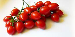 Pomodoro di Pachino, il Tar dà ragione al Consorzio di tutela Igp