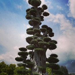 Giardini e design anche per i bambini