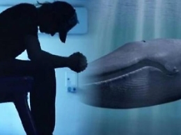 Ragazzina catanese salvata dalla Blue Whale, denunciato 16enne di Cosenza per istigazione al suicidio
