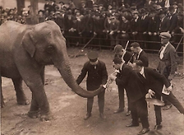 Film e colonna sonora, "Sicily Jass" la storia di Nick La Rocca da vedere e ascoltare a casa