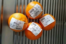 Arance, la vera beffa sta nel prezzo