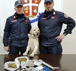 Cane "Ivan" scova la droga sotto il Castello Normanno di Paternò