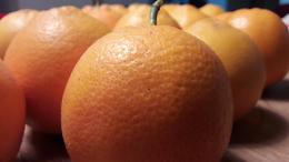 La filiera agrumicola siciliana punta sull'innovazione