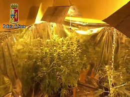 Catania, coltivava cannabis in un rudere abbandonato: arrestato