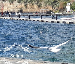 Salina, il porto turistico  di Santa Marina senza barche