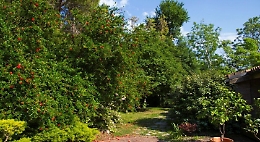 Agriturist, prenotazioni per 1 maggio: la Sicilia si difende a "macchia di leopardo"