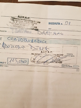 «Quell'associazione prende i cani gratuitamente per darli in adozione, ma poi si fa pagare»