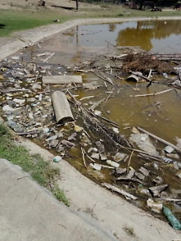 Catania, boschetto Playa: Fate presto stanno morendo pesci e tartarughe!