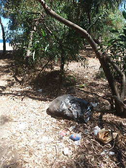 Fiumefreddo: primo bagno con "sorpresa"