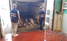 Riposto, Guardia costiera ha sequestrato quattro tonnellate di tonno rosso