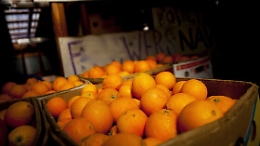 Catania: sequestrati 11.000 kg di arance egiziane spacciate per siciliane