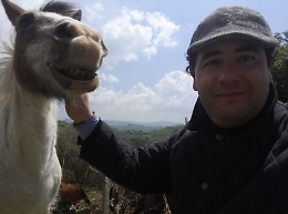 Dai cavalli reali ai cadeau gastronomici: ecco il mondo bio di Placido Salamone