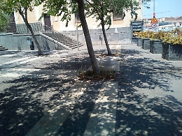 Catania, degrado e noncuranza in piazza Falcone