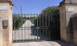 L'olio di Marsala venduto a Londra a 50 euro al litro