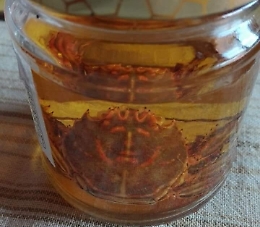 «C'è il volto di Cristo nel granchio» e pescatore lo dona a sacerdote