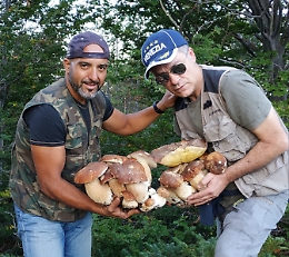 Etna, monte Nero: trovata "famigliola" di Boletus Aestivalis