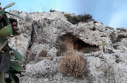 Lavora terreno per farci agriturismo e scopre che ospita loculi romani...