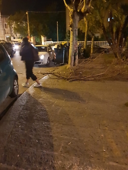 Catania, Piazza Santa Maria del Gesù: rami secchi intralciano i pedoni