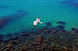 Mediterranean Stories, quando le foto raccontano le storie impossibili