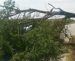 Il forte vento travolge Palermo e blocca le Eolie: traghetti fermi al porto