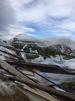 Maltempo: da Vittoria a Pachino agricoltura in ginocchio