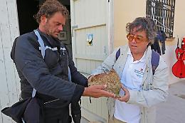 Aereo Etiopia: l'addio a Sebastiano Tusa, «il più apprezzato dai siciliani» (ma il prof non leggerà mai quel dato)