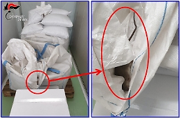 Sacco di pistacchi con topo morto: scatta sequestro in un'azienda di Bronte