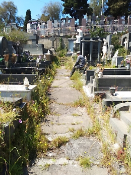 Catania: in prossimità della Santa Pasqua  il cimitero verte in uno stato di grave incuria