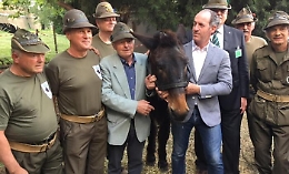 Addio a Iroso, l'ultimo mulo in forza alle truppe alpine