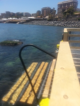 Rubano maniglione per disabili da passerella appena inaugurata