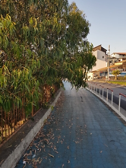 Catania: "Da quanto tempo i giardinieri non passano dal lungomare?"