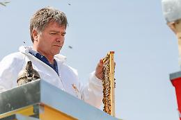 Carlo Amodeo, il signore delle api che ha "resuscitato" quella nera sicula