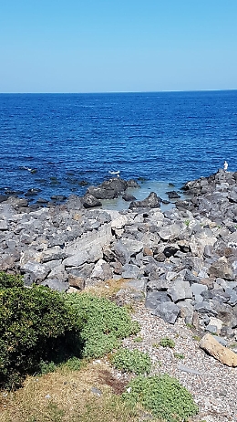 Aci Trezza: liquami a mare