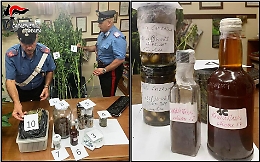 Catania, beccato con mezzo chilo di marijuana: «Sono uno chef, sperimento ricette alla cannabis»