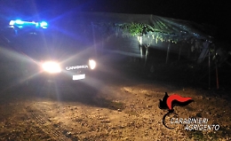 Intensificati i controlli contro i furti d’uva intorno a Castrofilippo e Canicattì