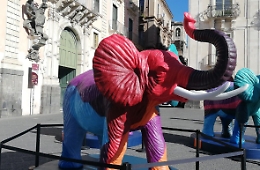 Catania, "liotri" colorati in piazza Università per un progetto ancora da svelare