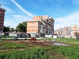 Siracusa: un recito per cavalli si aggiunge al degrado di Via Italia