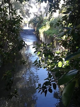Catania, Torrente Acquicella: luogo suggestivo ma degradato