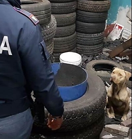 A Librino meccanici e gommisti abusivi con reddito di cittadinanza