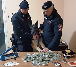 Pedara, nella villa-laboratorio confezionava droga: arrestato 27enne