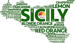 Sicilia, finalmente riconosciuti  i tredici distretti produttivi