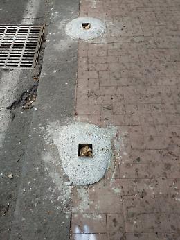 Catania. Lavori non autorizzati in piazza Michelangelo
