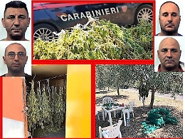 Belpasso, sequestrati 70 kg di marijuana del clan: quattro arresti