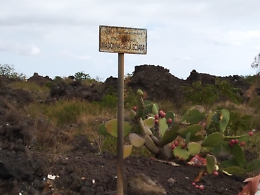 Via Palladio: la vergogna del comune di Belpasso