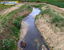 Oleificio si libera delle acque di vegetazione inquinando il fiume Naro